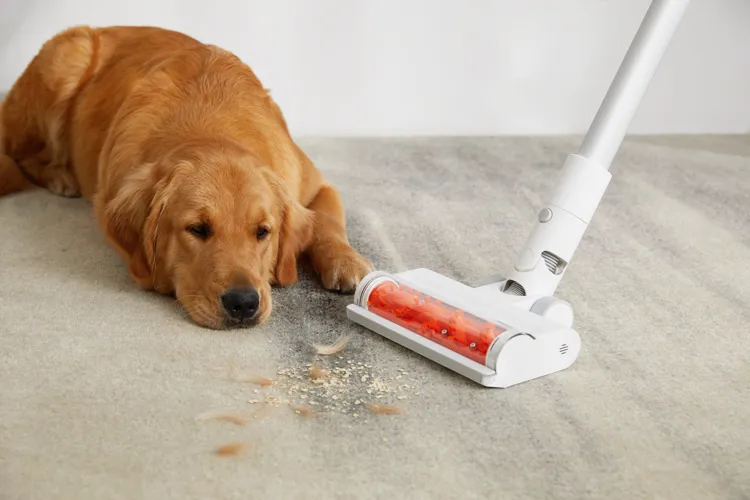 Bežični štapni usisavač Xiaomi Vacuum Cleaner G11